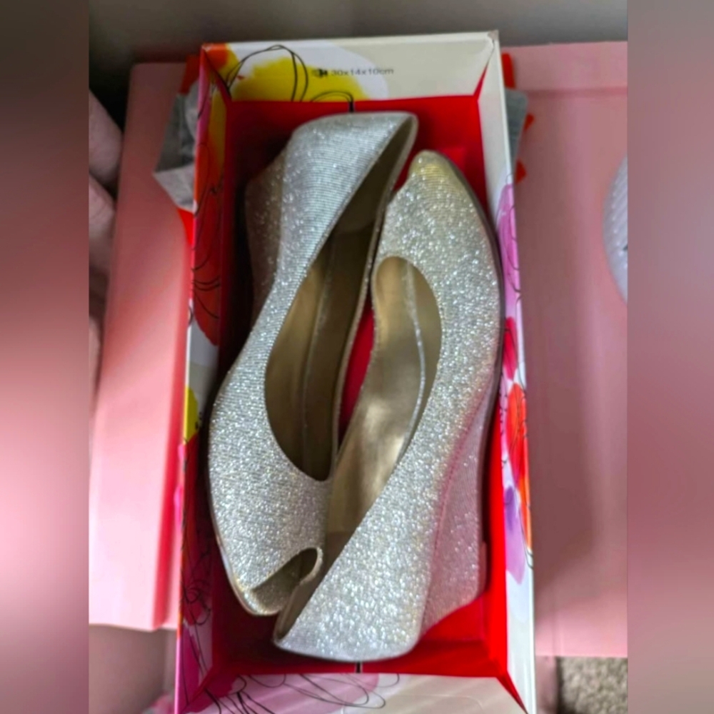 Elegant Silver/Gold Glitter Women's Shoes